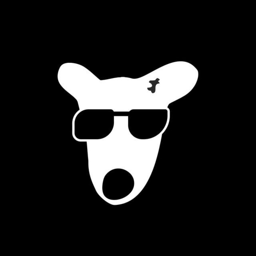 DOGS: Важные Даты и Информация о Запуске Токена