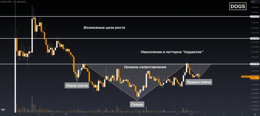 Прогноз цены dogs price может закончить накопление