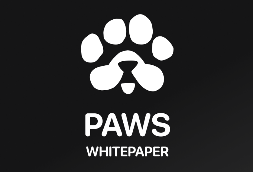 PAWS whitepaper: Дорожная карта PAWS